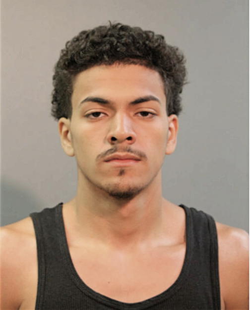 ANGEL D TORRES, Cook County, Illinois