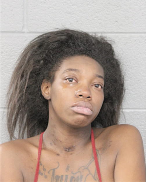 DEBRIANNA J WELLS, Cook County, Illinois
