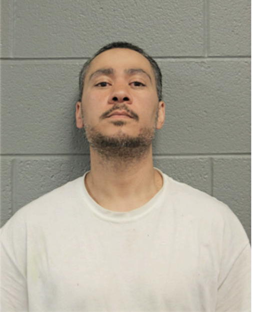 STEVEN F WILLIAMS, Cook County, Illinois