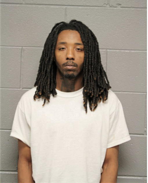 NICO WILSON, Cook County, Illinois