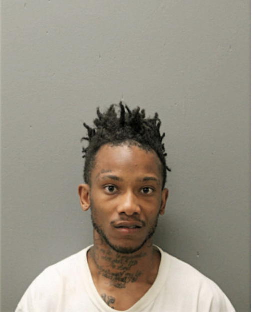 GREGORY M ALEXANDER, Cook County, Illinois