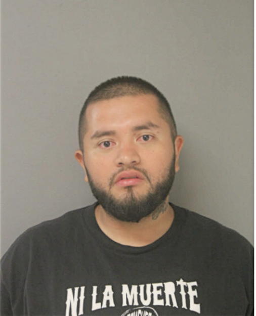 ROQUE E ARCE, Cook County, Illinois