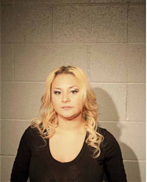 LYNN M ARES, Cook County, Illinois
