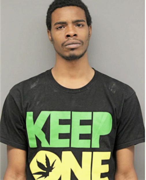 LERON Q DAVIS, Cook County, Illinois
