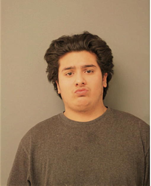 MARK A ESCAMILLA, Cook County, Illinois