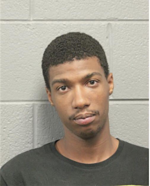 ROBERT T HUNT, Cook County, Illinois