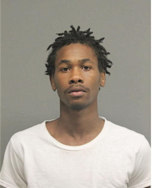 RYANT T JONES, Cook County, Illinois