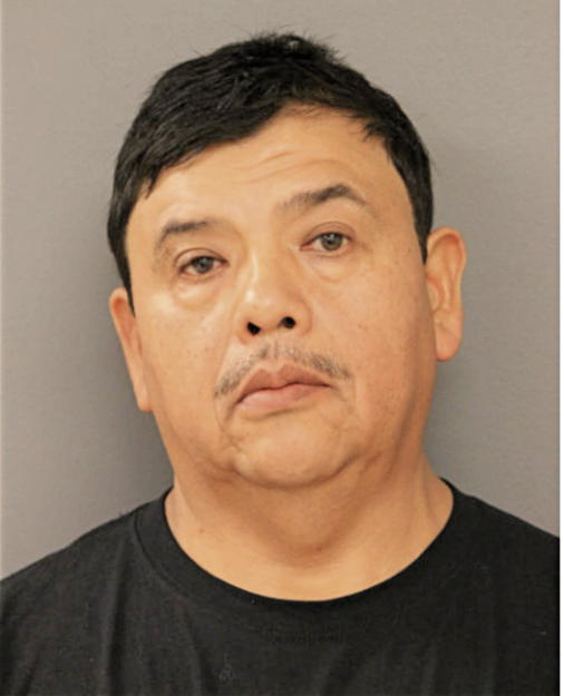 CARLOS L HERNANDEZ, Cook County, Illinois