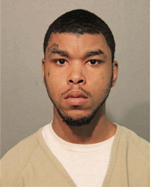 ROGER E LAKES, Cook County, Illinois