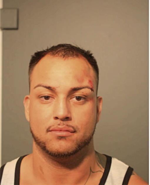BRYAN LANDEROS, Cook County, Illinois