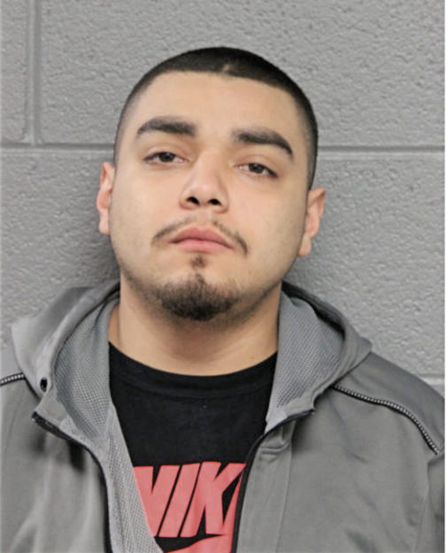 LUIS LEON, Cook County, Illinois