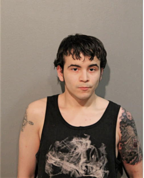 GEORGE H NAVARRO, Cook County, Illinois
