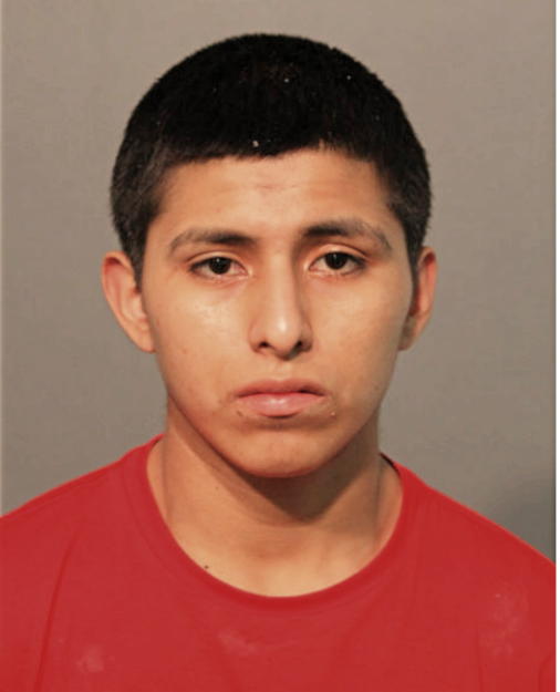 CARLOS ORTIZ, Cook County, Illinois