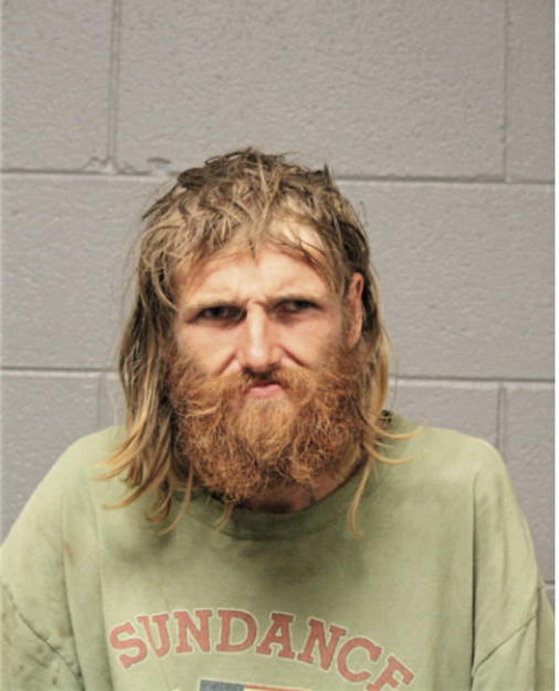 DANIEL PALMER, Cook County, Illinois