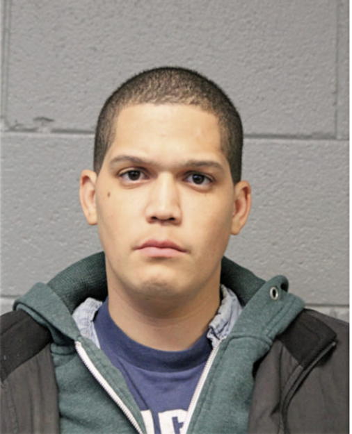 ROBERT J PETERS, Cook County, Illinois