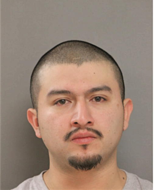 DANNY PULIDO, Cook County, Illinois