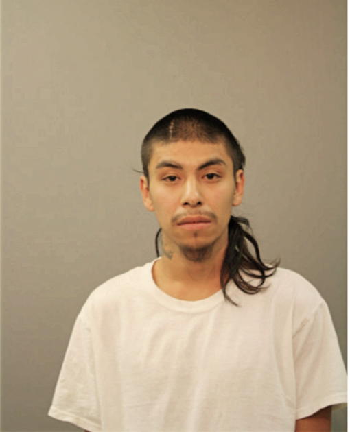 MARTIN R RAMIREZ, Cook County, Illinois
