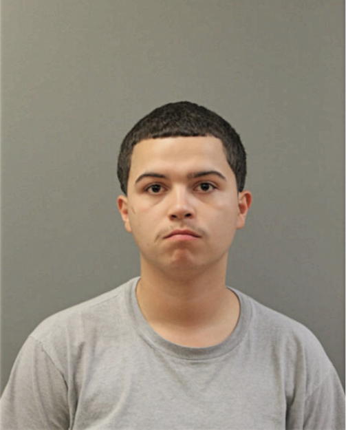 ISAIAH N RODRIGUEZ, Cook County, Illinois