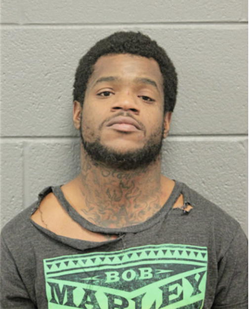 STEVEN E SCALES, Cook County, Illinois