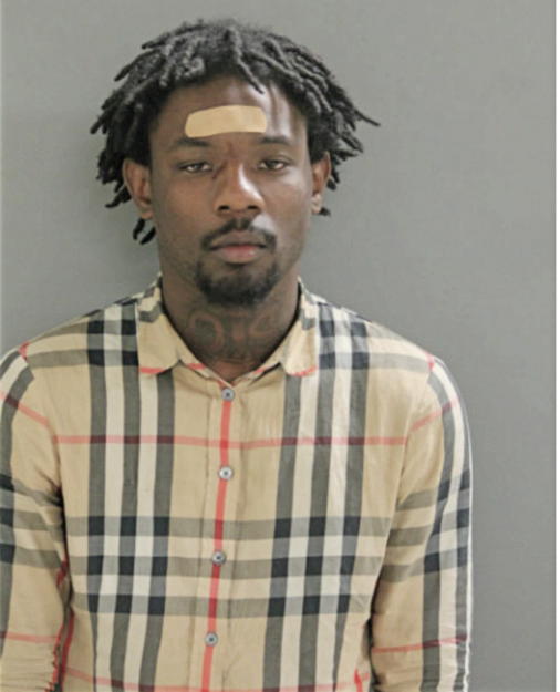 DERRICK J SWANSON, Cook County, Illinois