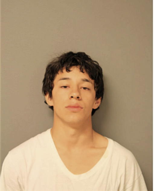 JOSE R VILLASENOR, Cook County, Illinois