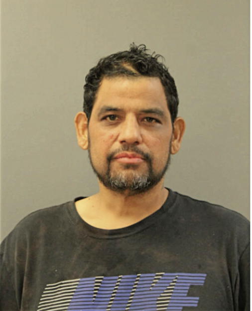 RAUL A PEREZ, Cook County, Illinois