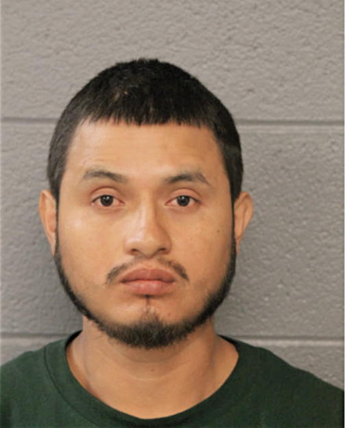 TORIBIO ALARCON, Cook County, Illinois
