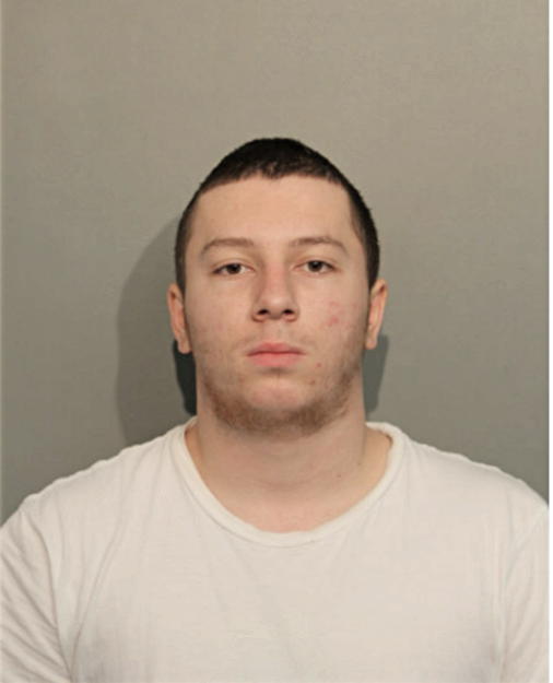 JACOB J BROWN, Cook County, Illinois