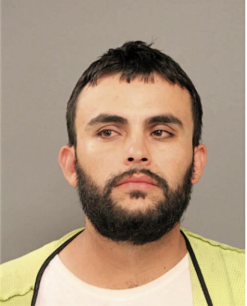 ALFONSO B CASTANEDA, Cook County, Illinois