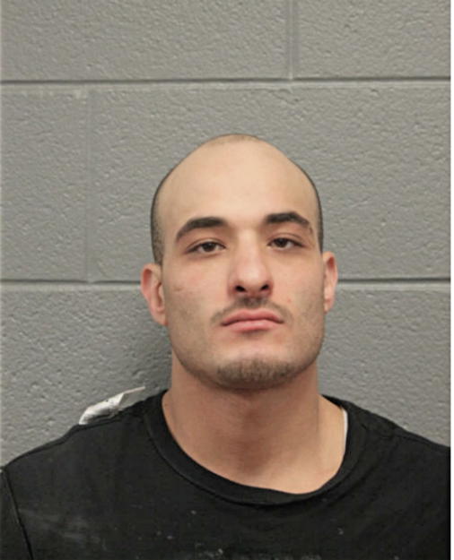 TAMER DAHBOUR, Cook County, Illinois