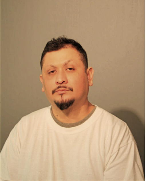 FELIX T DIAZ, Cook County, Illinois