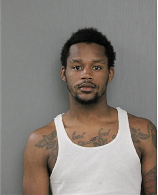 ERIC L ERVING, Cook County, Illinois