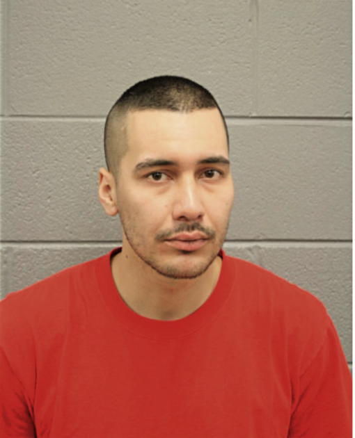 EDNER FLORES, Cook County, Illinois