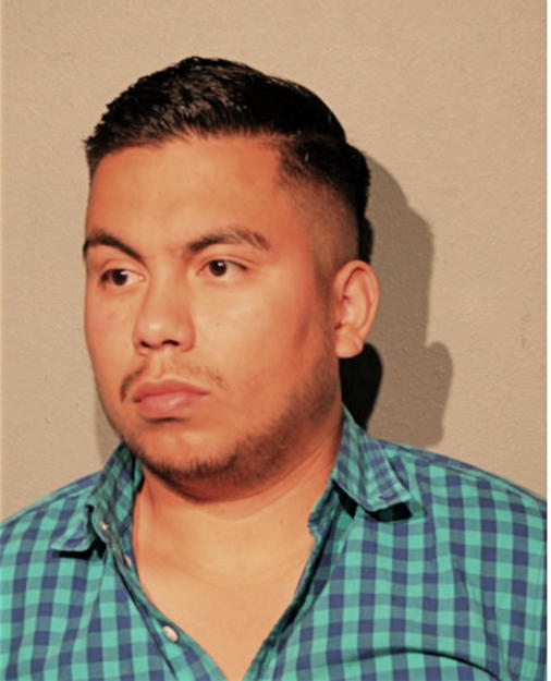 CRISTIAN V GARCIA, Cook County, Illinois