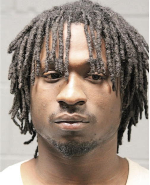JAMES L GARDNER, Cook County, Illinois