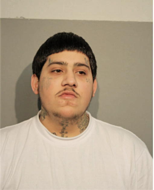 SHAWN A GHAZIANI, Cook County, Illinois
