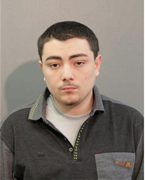 MARCUS A GUZMAN, Cook County, Illinois