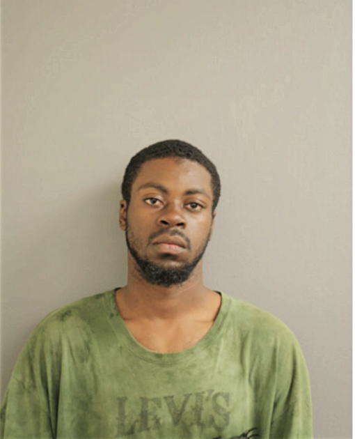 DAVID A J GATES JR, Cook County, Illinois