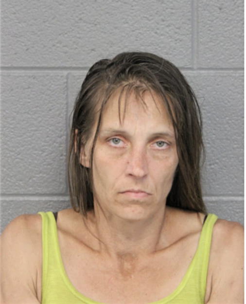 DEENA L KNIGHT, Cook County, Illinois