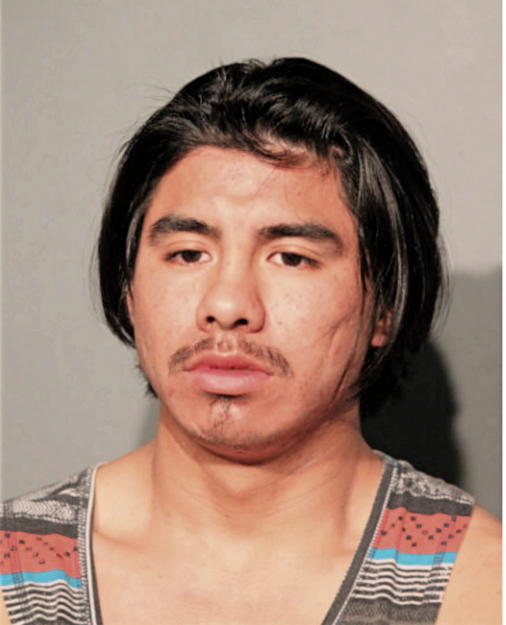 JOHNNY MARCELO LANDY-INGA, Cook County, Illinois