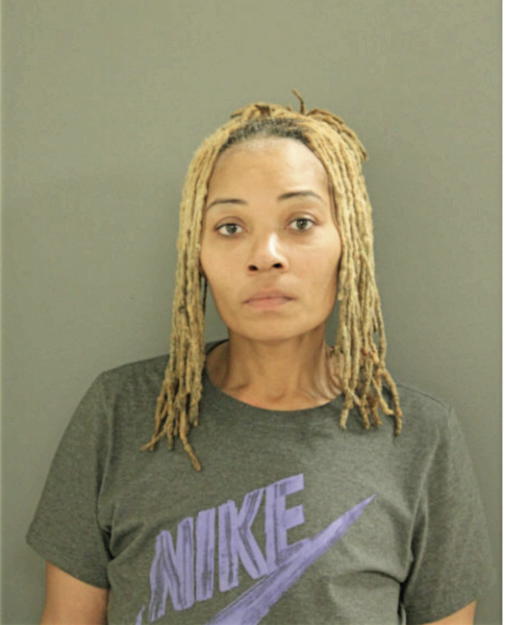 STEPHANIE V LEE, Cook County, Illinois