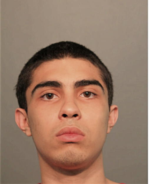 DANNY N LEYVA, Cook County, Illinois