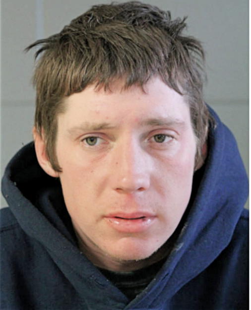 SEAN J MADDEN, Cook County, Illinois