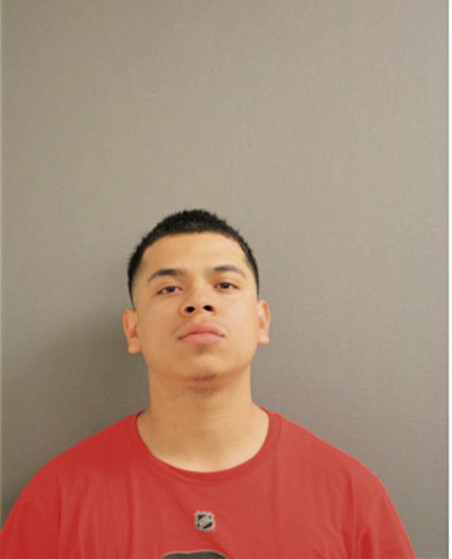 BRYAN MALDONADO, Cook County, Illinois