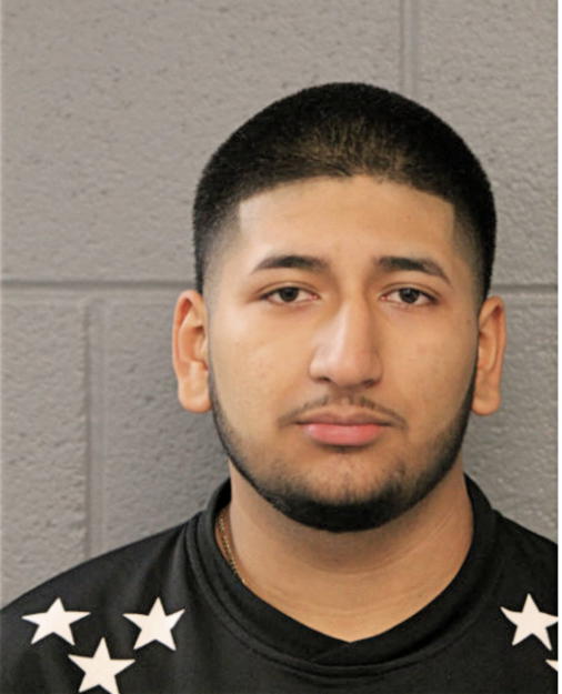 LUIS A PATINO, Cook County, Illinois