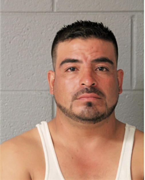 JOSE R RANGEL GARFIAS, Cook County, Illinois