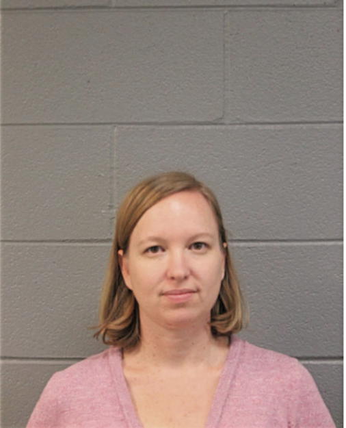 ERIN B RYAN, Cook County, Illinois