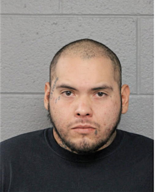 ALEJANDRO VILLARREAL-CARRILLO, Cook County, Illinois