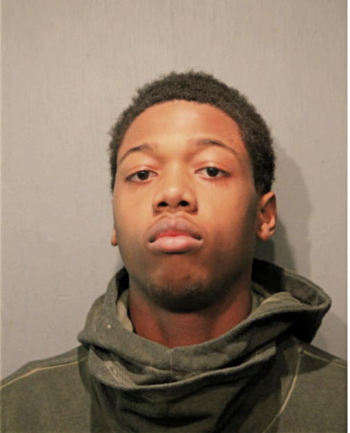 MICHAEL CR WILSON, Cook County, Illinois