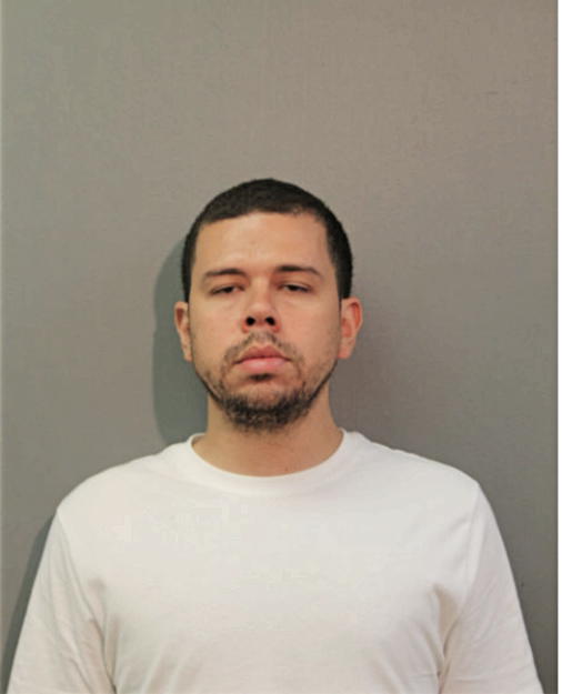 DILAN A ABREU, Cook County, Illinois